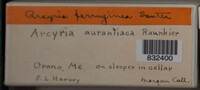 Image Associated With the Occurence